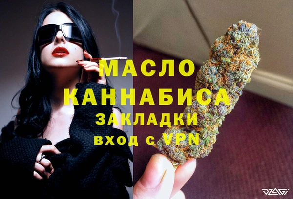 индика Краснотурьинск