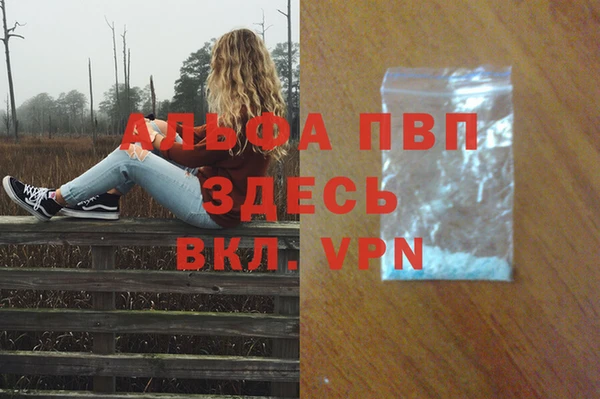 индика Краснотурьинск