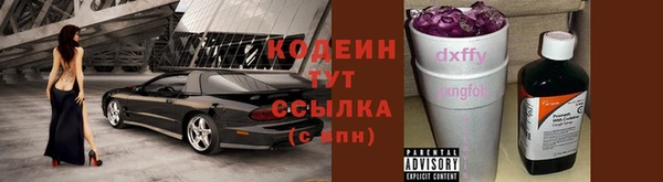 индика Краснотурьинск