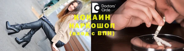 индика Краснотурьинск