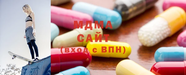 индика Краснотурьинск