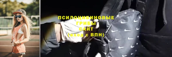 индика Краснотурьинск