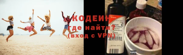 индика Краснотурьинск