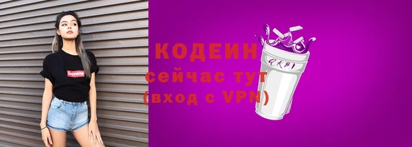 индика Краснотурьинск