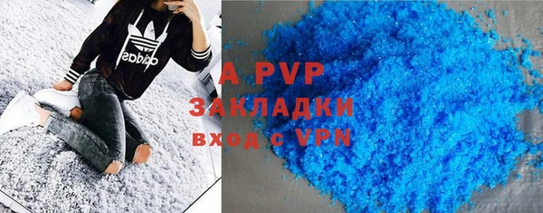 индика Краснотурьинск