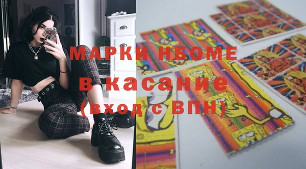 индика Краснотурьинск