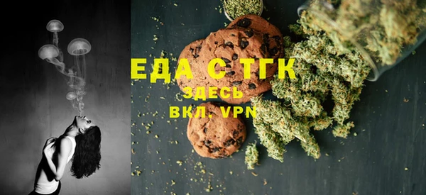 индика Краснотурьинск