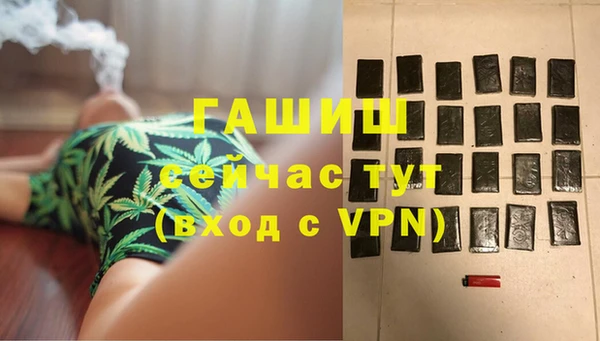 индика Краснотурьинск