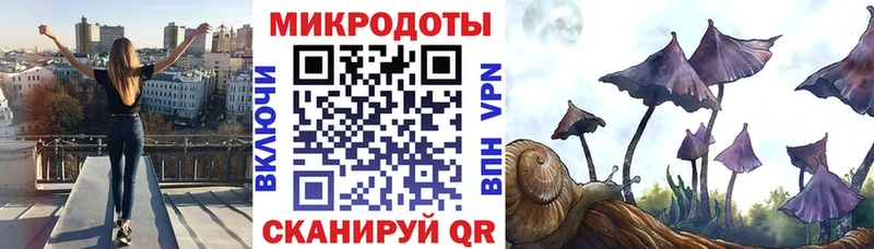 Галлюциногенные грибы Psilocybine cubensis  Первоуральск 