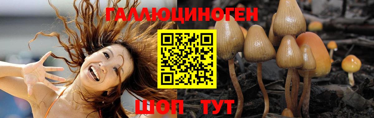 Галлюциногенные грибы MAGIC MUSHROOMS Первоуральск